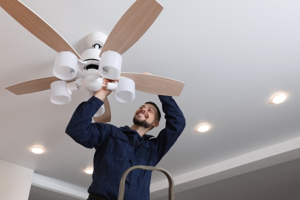 Ceiling Fan Ceiling Fan